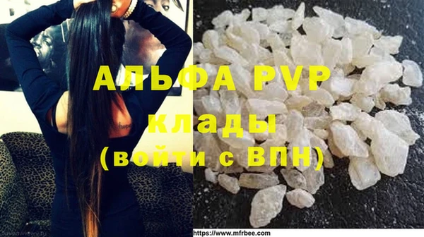 шишки Арсеньев