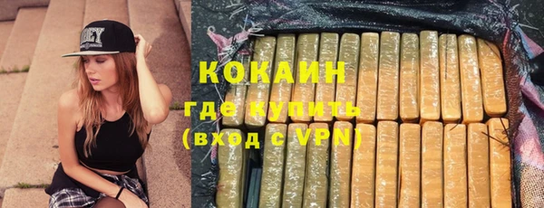 шишки Арсеньев