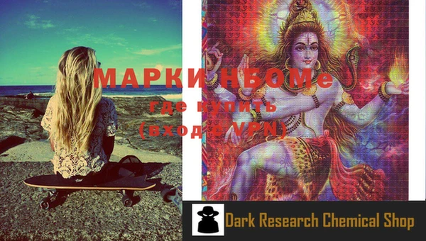 шишки Арсеньев