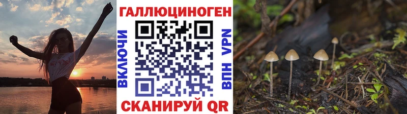 Галлюциногенные грибы Magic Shrooms  Купить  Сосновка 