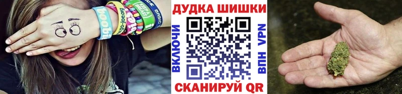 Купить закладки  Сосновка  Конопля Amnesia 