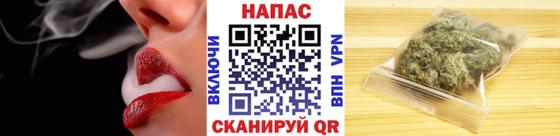 Конопля сатива Сосновка